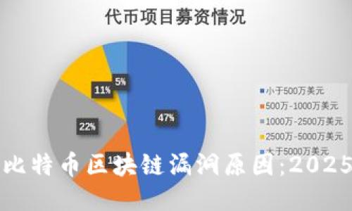 揭秘比特币区块链漏洞原因:2025必看
