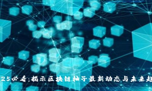 2025必看:揭示区块链柚子最新动态与未来趋势