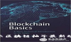 2025必看:揭示区块链柚子最新动态与未来趋势