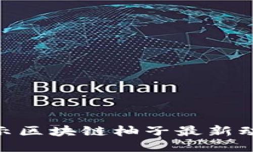 2025必看:揭示区块链柚子最新动态与未来趋势