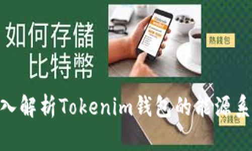 2025必看：深入解析Tokenim钱包的能源系统及其重要性