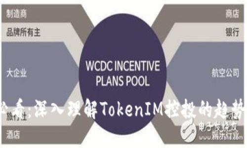 2025必看：深入理解TokenIM控投的趋势与挑战