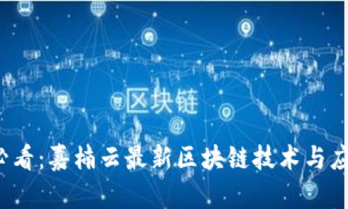 2025必看:嘉楠云最新区块链技术与应用分析