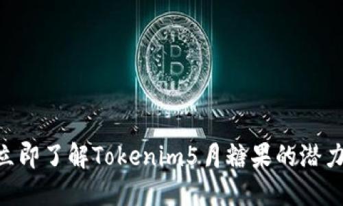 2025必看！立即了解Tokenim5月糖果的潜力与投资机会