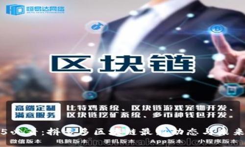 2025必看:拼多多区块链最新动态与未来展望