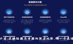 2025必看:区块链圈与币圈的深度比较,哪一个更