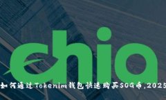 立即学习：如何通过Tokenim钱包快速购买SOG币，