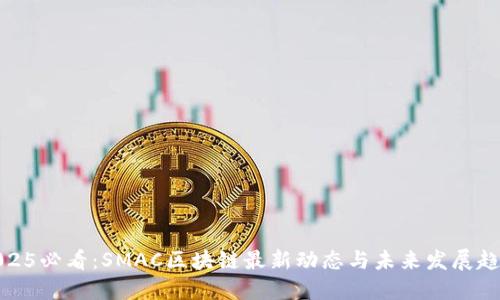 2025必看:SMAC区块链最新动态与未来发展趋势