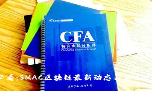 2025必看:SMAC区块链最新动态与未来发展趋势