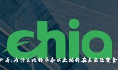2025必看:为什么比特币和以太坊将在未来改变金
