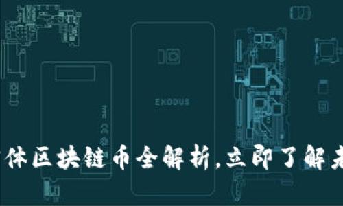 2025必看:实体区块链币全解析,立即了解未来投资机会!