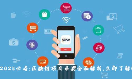 2025必看:区块链项目币类全面解析,立即了解!