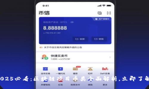 2025必看:区块链项目币类全面解析,立即了解!