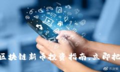 2025必看:区块链新币投资指南,立即把握未来机