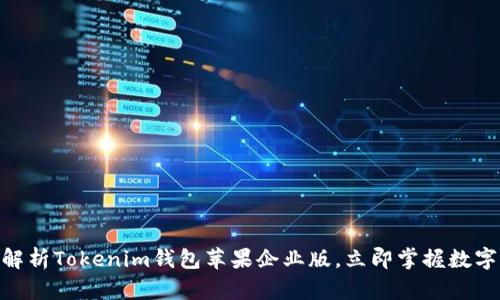 2025必看：全面解析Tokenim钱包苹果企业版，立即掌握数字资产管理新趋势