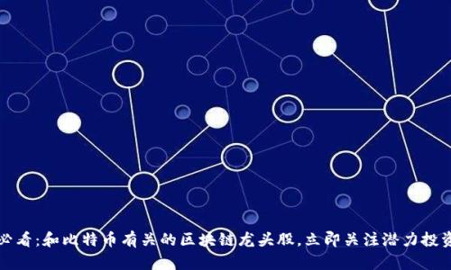 2025必看:和比特币有关的区块链龙头股,立即关注潜力投资机会!