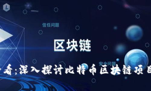 2025必看：深入探讨比特币区块链项目的全景