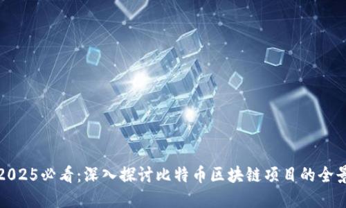 2025必看：深入探讨比特币区块链项目的全景