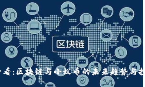 2025必看:区块链与小蚁币的未来趋势与投资机会