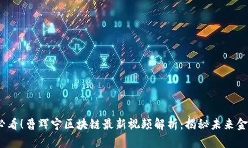 2025必看！曹辉宁区块链最新视频解析：揭秘未来金融趋势