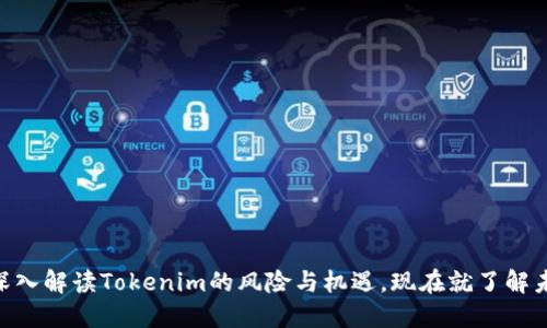 2025必看！深入解读Tokenim的风险与机遇，现在就了解未来投资趋势