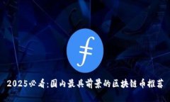 2025必看：国内最具前景的区块链币推荐