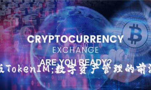 最新版TokenIM：数字资产管理的前沿工具