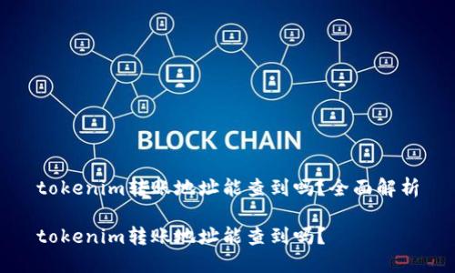 tokenim转账地址能查到吗？全面解析

tokenim转账地址能查到吗？