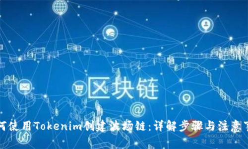 如何使用Tokenim创建波场链：详解步骤与注意事项