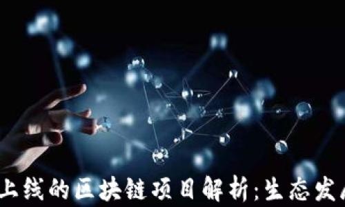 
2023年最新上线的区块链项目解析：生态发展与投资机会