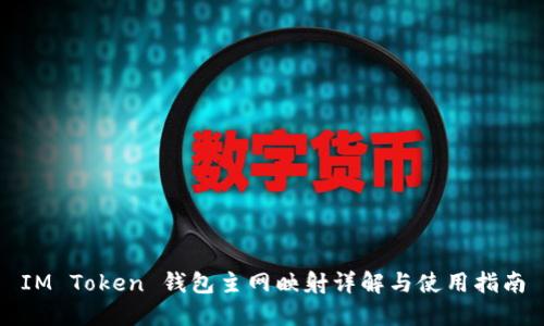 IM Token 钱包主网映射详解与使用指南