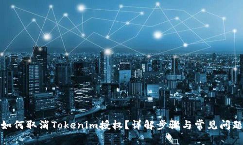 如何取消Tokenim授权？详解步骤与常见问题