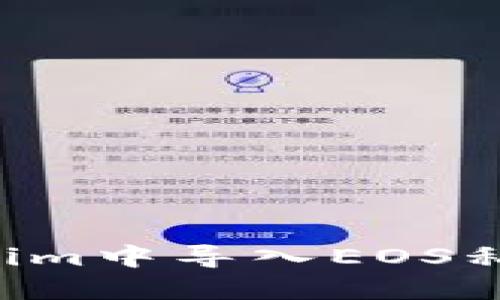 如何在Tokenim中导入EOS私钥：详细指南