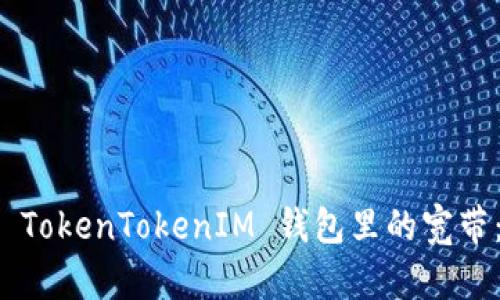 如何购买 TokenTokenIM 钱包里的宽带：完整指南