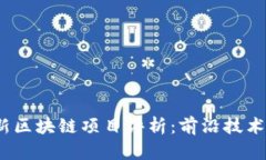 2023年最新区块链项目评析：前沿技术与行业趋势