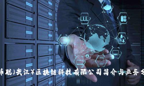 : 币聪（武汉）区块链科技有限公司简介与业务分析