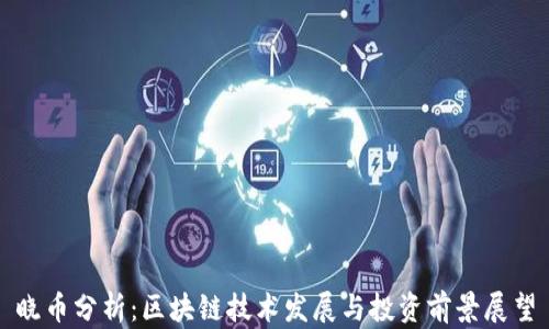 
晓币分析：区块链技术发展与投资前景展望