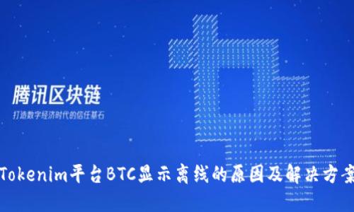 Tokenim平台BTC显示离线的原因及解决方案