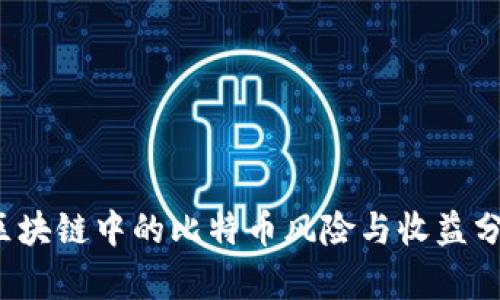 区块链中的比特币风险与收益分析