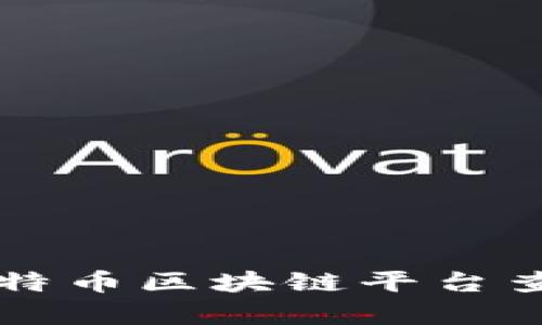 全面深入分析比特币区块链平台查询的技术与应用