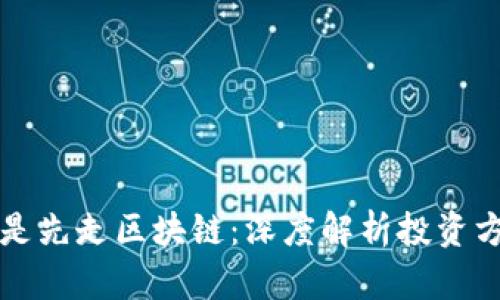 先走比特币还是先走区块链：深度解析投资方向与未来发展