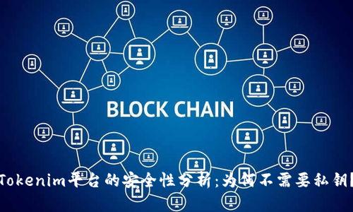 Tokenim平台的安全性分析：为何不需要私钥？