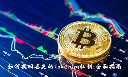 如何找回丢失的Tokenim私钥：全面指南